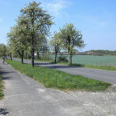 Storchennest *