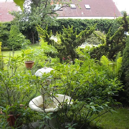 Storchennest Apartment