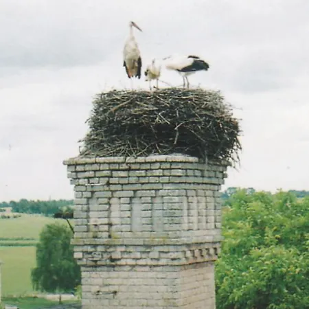 Storchennest Apartment *